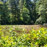 Review photo of Jessie M. Honeyman Memorial State Park Campground by Lynda H., July 25, 2020