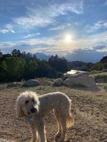 Rebeca H.'s photo of camping with pets at Ruby Mountain Campground — Arkansas Headwaters Recreation Area near Buena Vista, CO