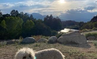 Rebeca H.'s photo of camping with pets at Ruby Mountain Campground — Arkansas Headwaters Recreation Area near Buena Vista, CO