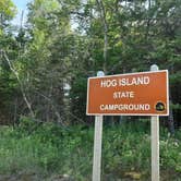 Review photo of Hog Island Point State Forest Campground by John B., July 25, 2020