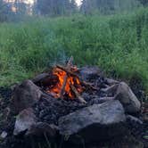 Review photo of Custer-Gallatin National Forest Dispersed Camping by Lucille W., July 25, 2020