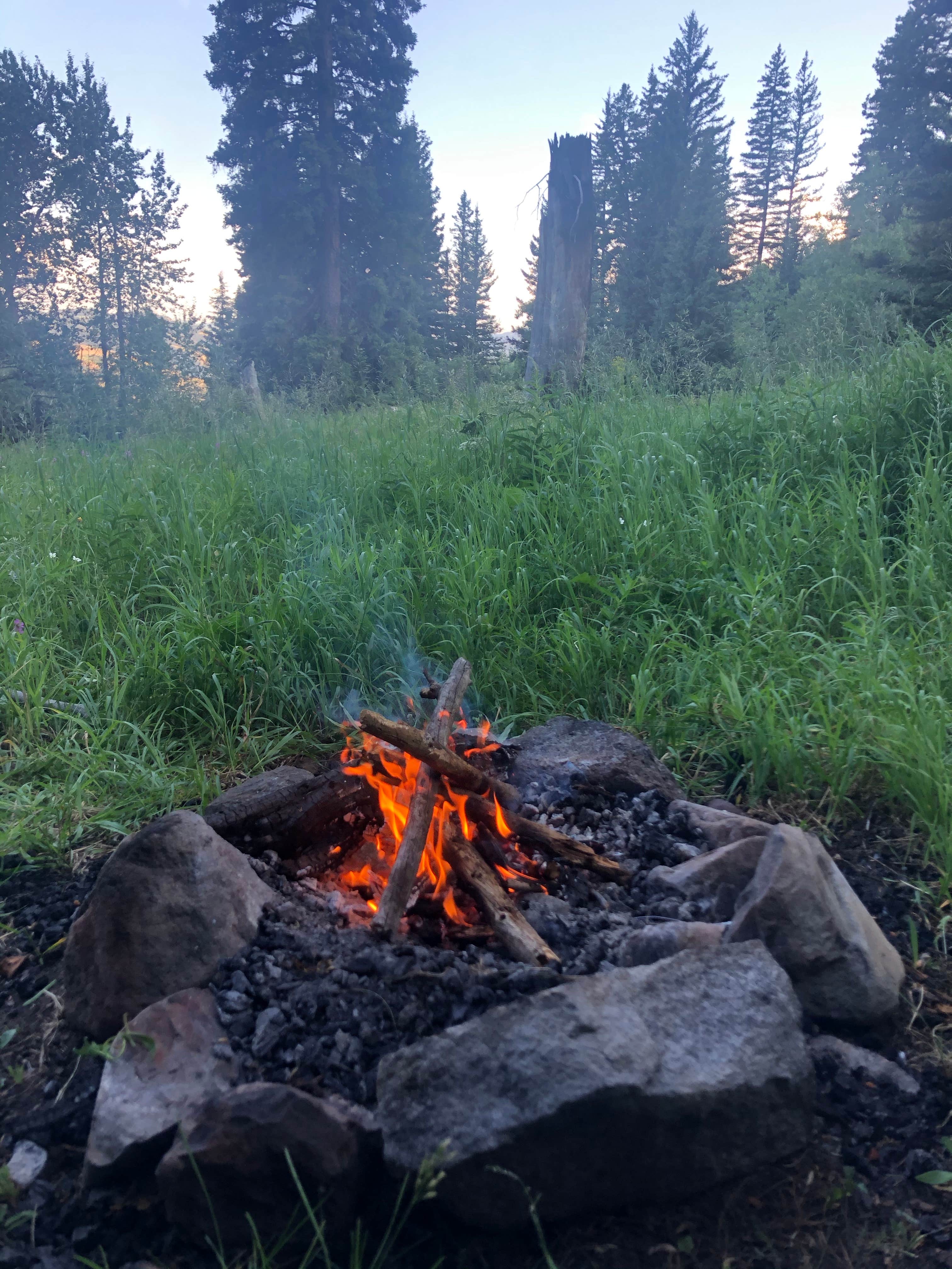 Camper submitted image from Custer-Gallatin National Forest Dispersed Camping - 3