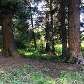 Review photo of Custer-Gallatin National Forest Dispersed Camping by Lucille W., July 25, 2020