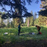 Review photo of Custer-Gallatin National Forest Dispersed Camping by Lucille W., July 25, 2020