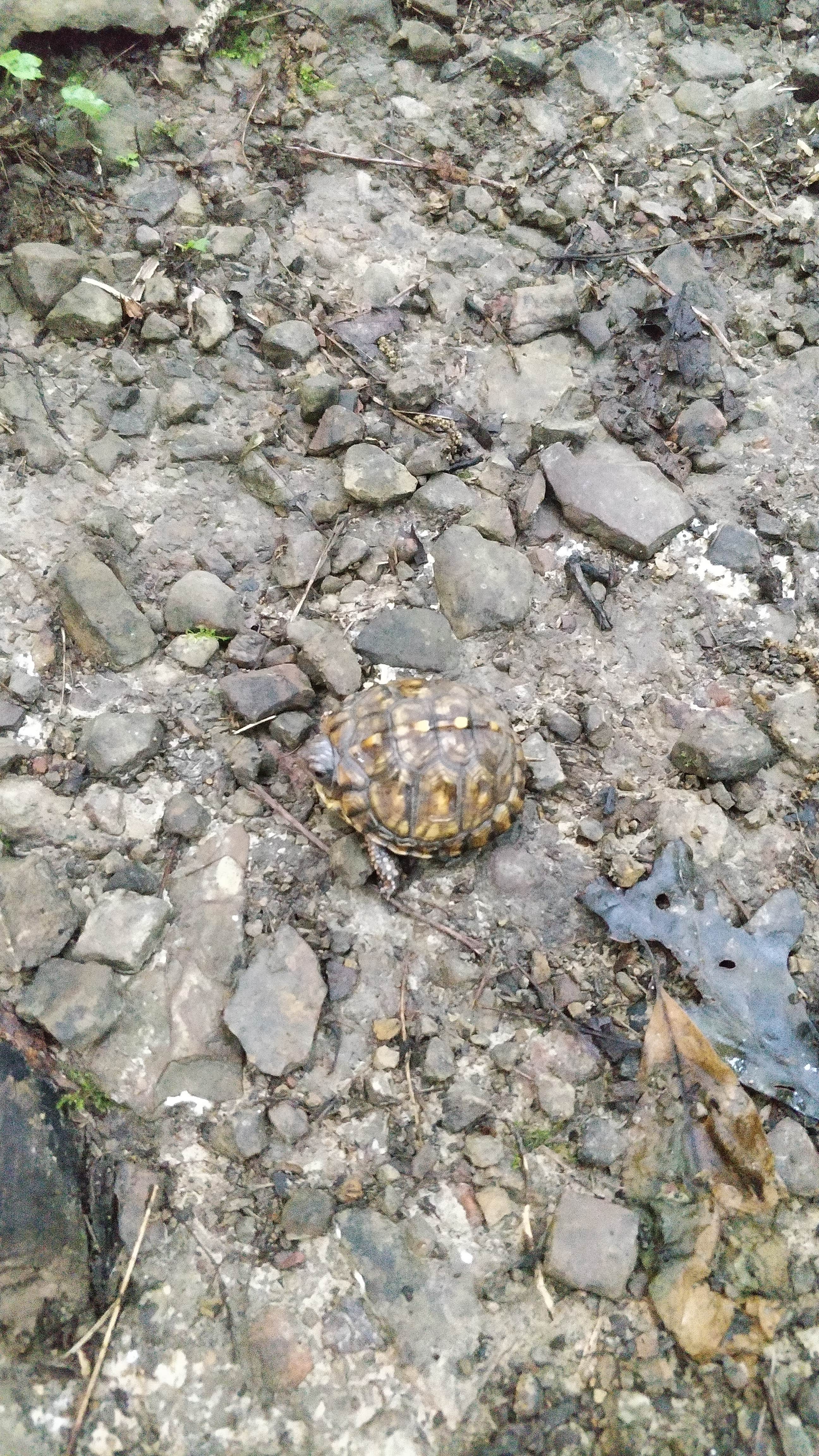 Camper-submitted photo at Ohio River Campground and Marina — Shawnee State Park near Peebles, OH