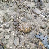 Review photo of Shawnee State Park Campground by Christopher F., July 25, 2020