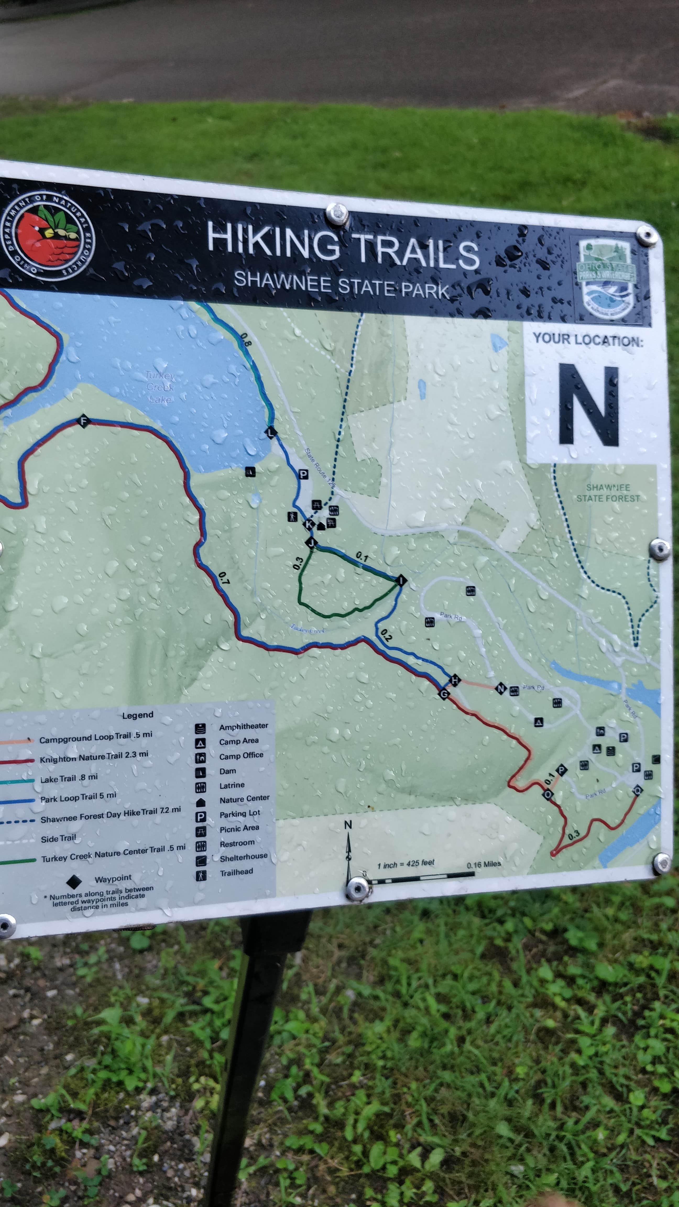 Camper submitted image from Shawnee State Park Campground - 4