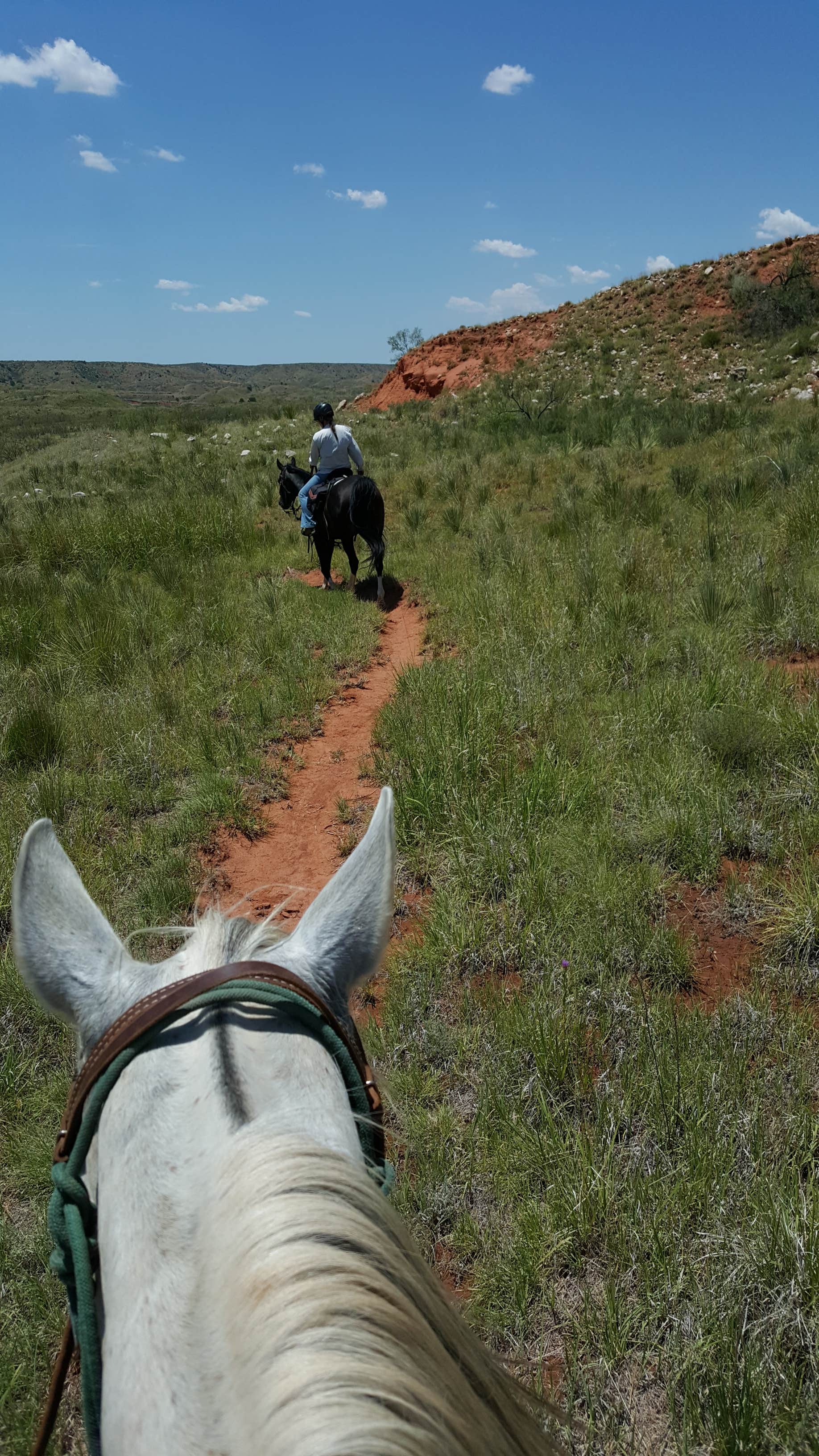 Phil & Jennifer K.'s photo of camping with a horse at Plum Creek — Lake Meredith National Recreation Area in Texas
