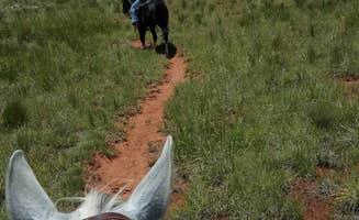Phil & Jennifer K.'s photo of camping with a horse at Plum Creek — Lake Meredith National Recreation Area in Texas