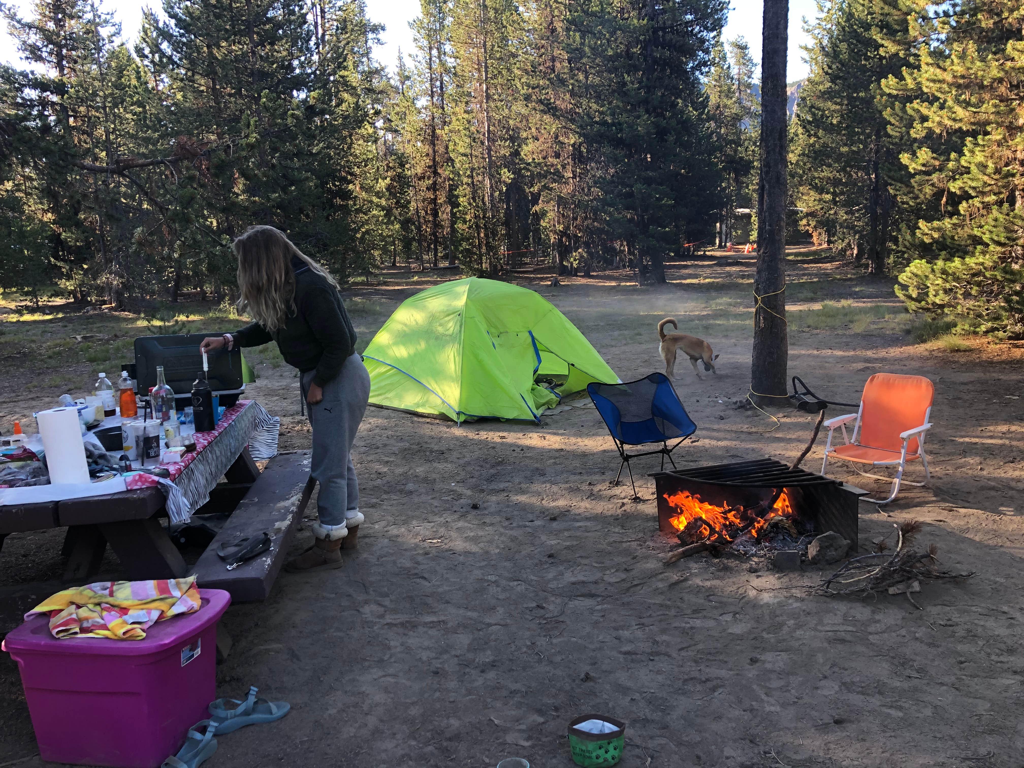 Amber G.'s photo at Paulina Lake Campground near La Pine, OR