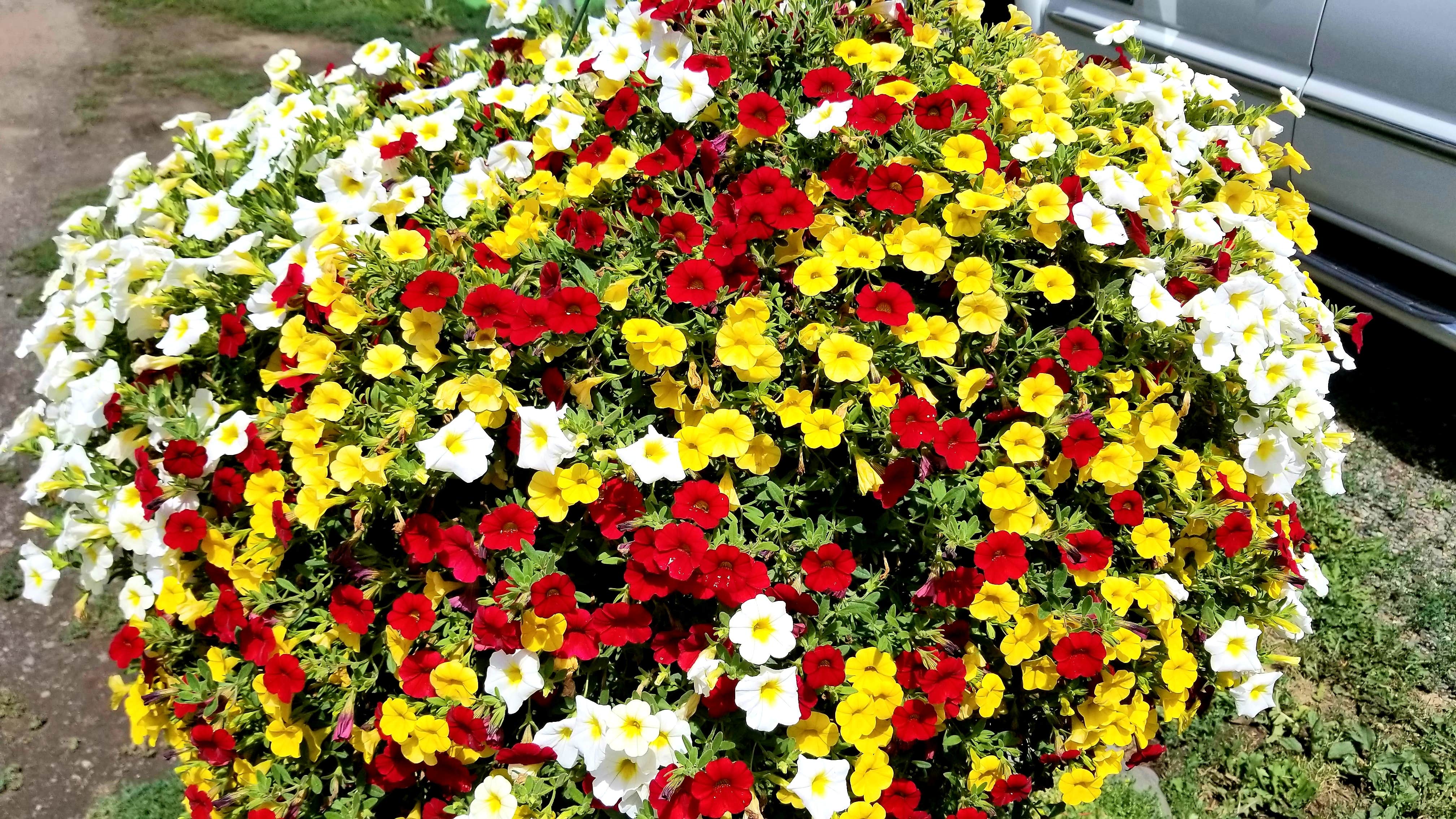 Camper-submitted photo at Pagosa Riverside Campground near Pagosa Springs, CO