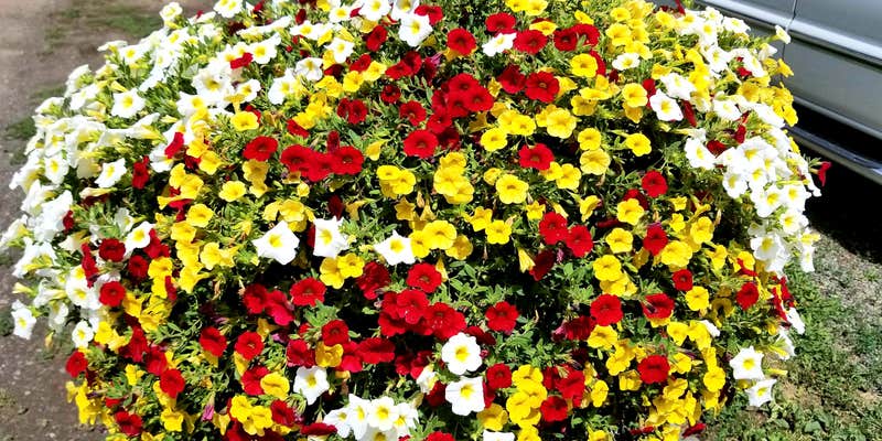 Camper submitted image from Pagosa Riverside Campground