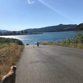 Paved Boat launch into Riffe lake