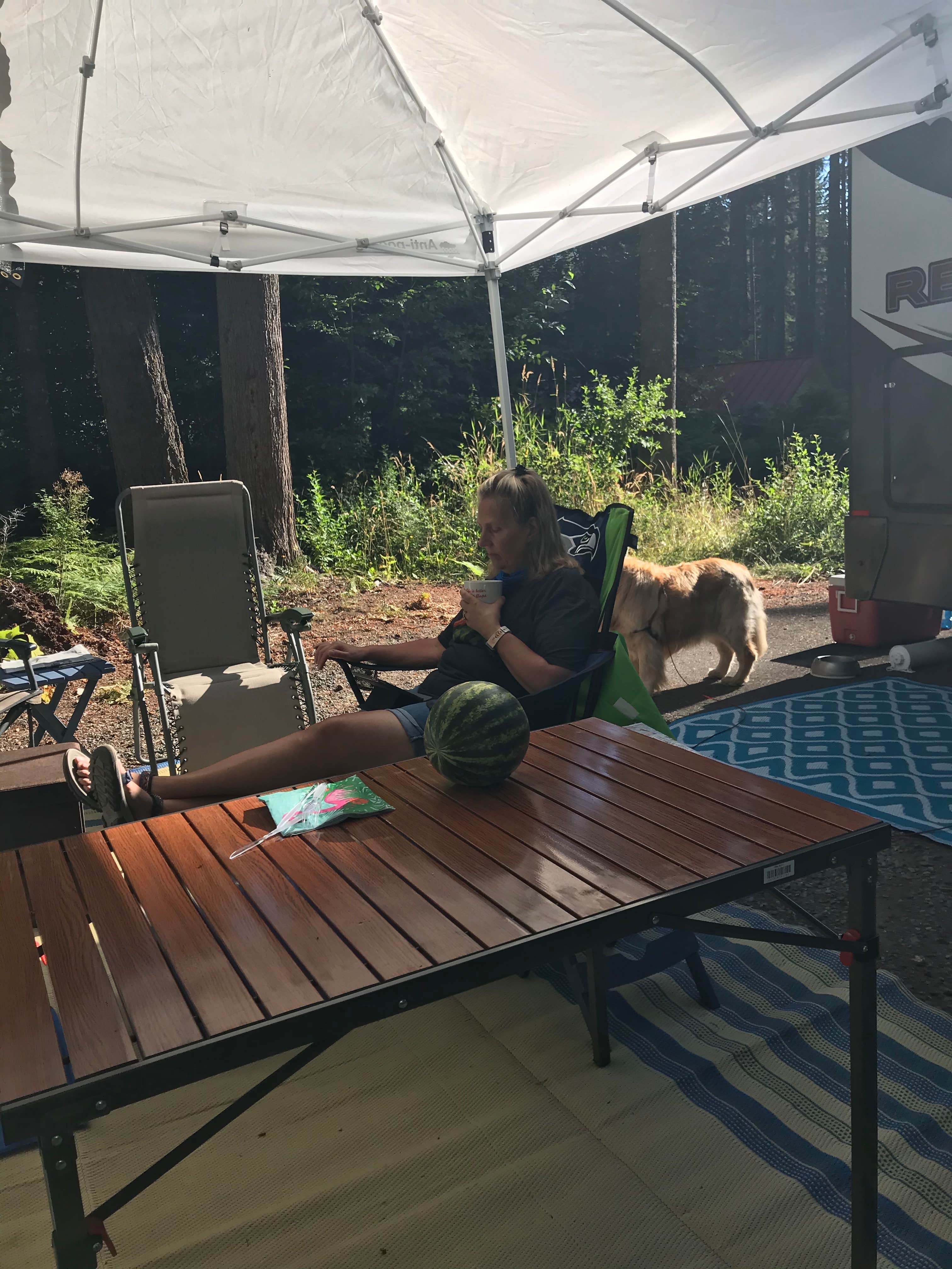 Camper-submitted photo at Taidnapam Park near Gifford Pinchot National Forest