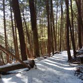 Review photo of Cook Forest State Park Campground by Danielle S., March 23, 2018