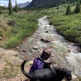 Review photo of Portal Campground by Lila L., July 26, 2020