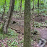 Review photo of Mohican Wilderness by Andrea F., June 19, 2020