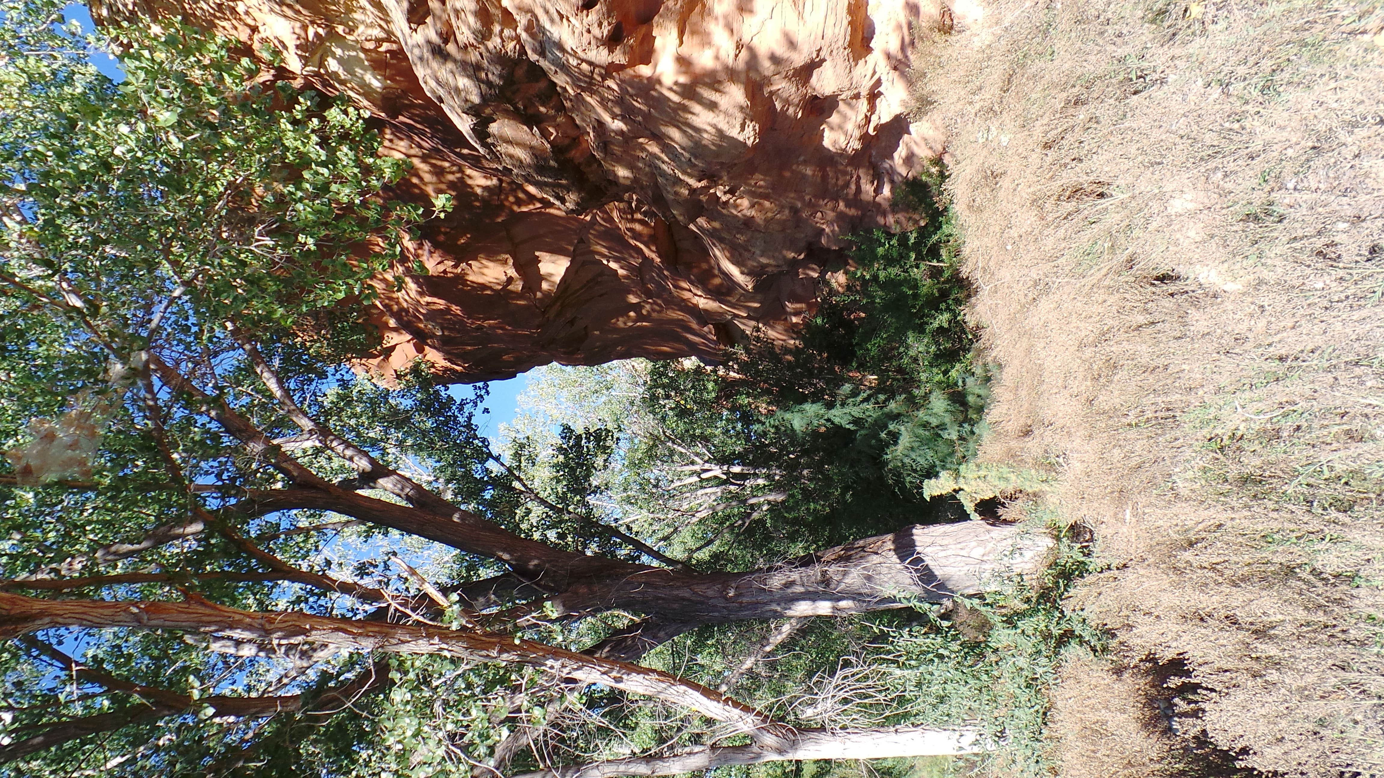 Camper-submitted photo at Sand Island Recreation Area — Bears Ears National Monument near Mexican Hat, UT