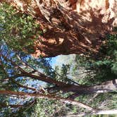 Review photo of Sand Island Recreation Area — Bears Ears National Monument by Jeanene A., July 4, 2016