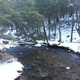 Review photo of Cook Forest State Park Campground by Danielle S., March 23, 2018