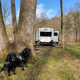 Review photo of Mohican State Park Campground by Andrea F., June 19, 2020