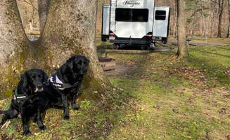 Andrea F.'s photo of camping with pets at Mohican State Park Campground near Waynesburg, OH