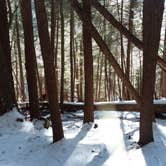 Review photo of Cook Forest State Park Campground by Danielle S., March 23, 2018