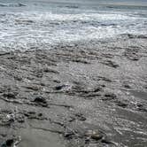 Review photo of Bluffs Campground — San Onofre State Beach by Nicole  B., July 26, 2020