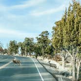 Review photo of Trailer Village RV Park — Grand Canyon National Park by Nicole  B., July 26, 2020