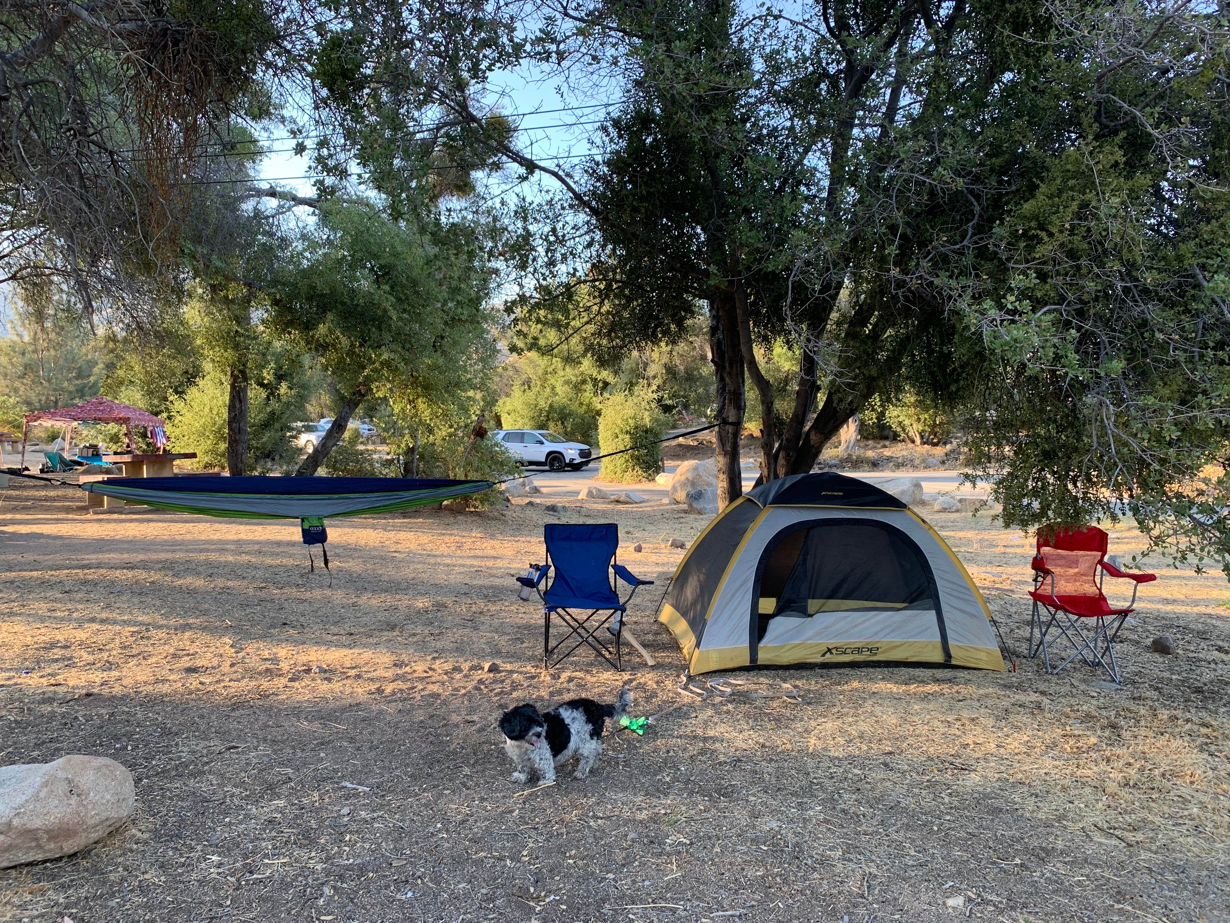 Salem L.'s photo at Tillie Creek near Lake Isabella, CA