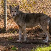 Review photo of Elmwood Recreation Area by Shari  G., March 25, 2018