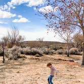 Review photo of Bullfrog RV & Campground — Glen Canyon National Recreation Area by Nicole  B., July 26, 2020