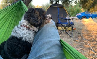 Salem L.'s photo at Lower Campground near Johnsondale, CA