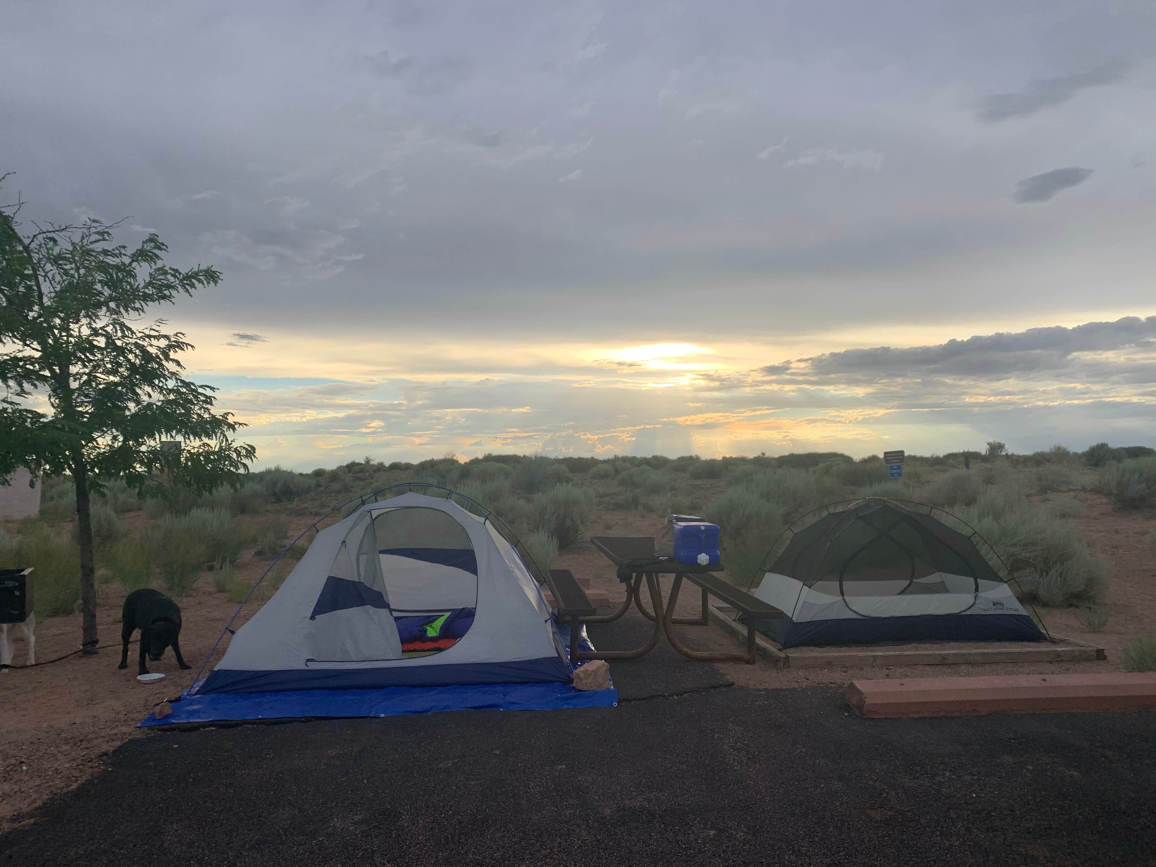 Elizabeth G.'s photo at Homolovi State Park Campground near Winslow, AZ
