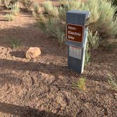 Review photo of Homolovi State Park Campground by Elizabeth G., July 26, 2020