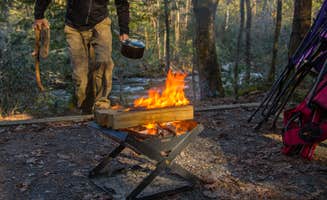 Shari G.'s photo at Elmwood Recreation Area near Bonneau, SC