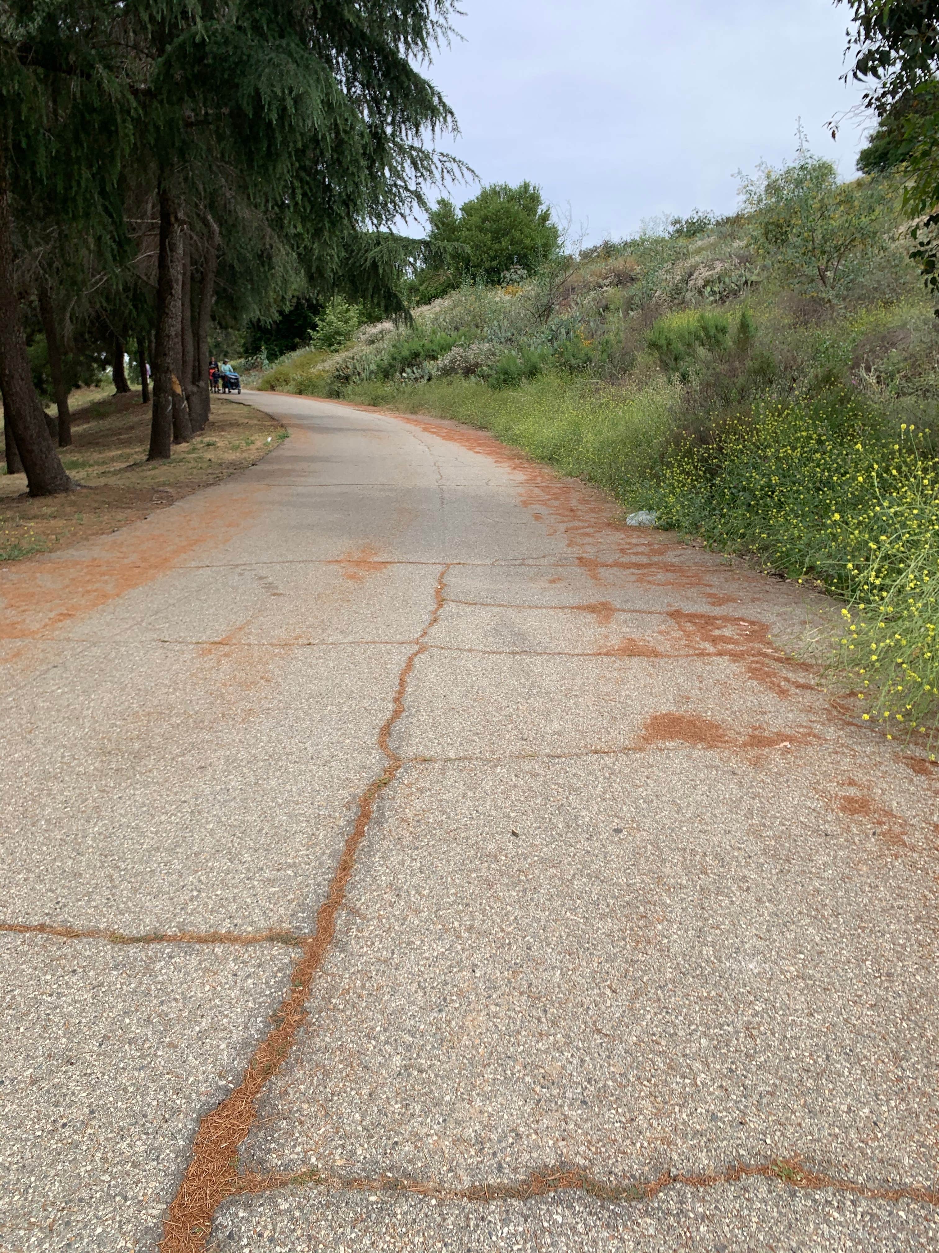 Camper-submitted photo at Bonelli Bluffs near Lancaster, CA