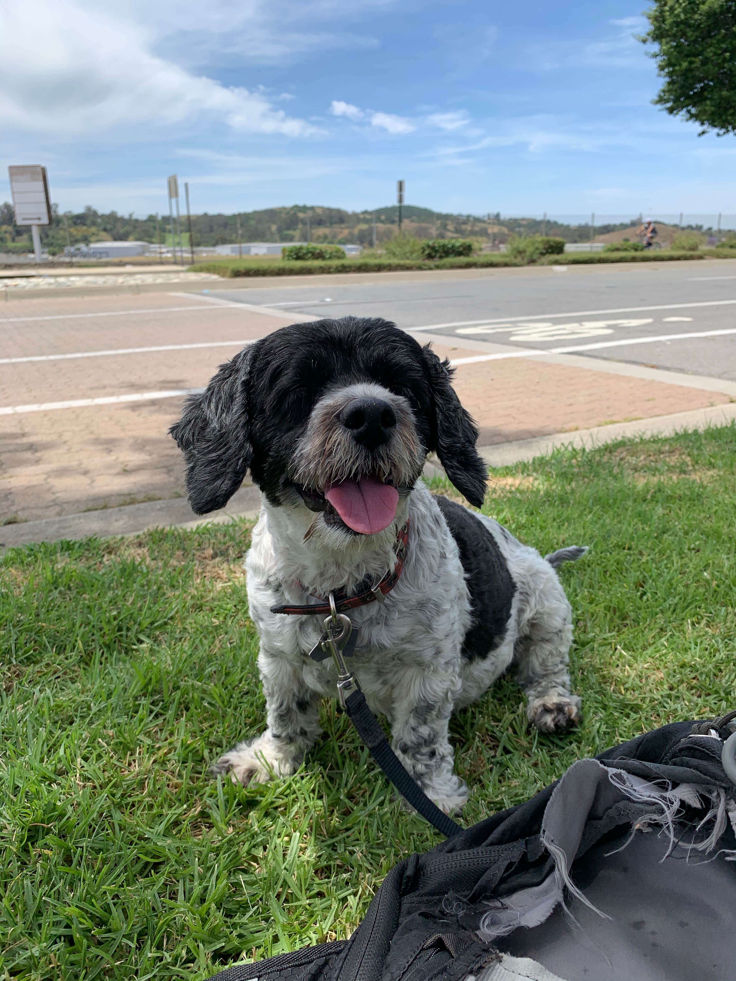 Camper-submitted photo at Bonelli Bluffs near Lancaster, CA