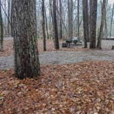 Review photo of Oconee River Campground by Shari  G., March 25, 2018