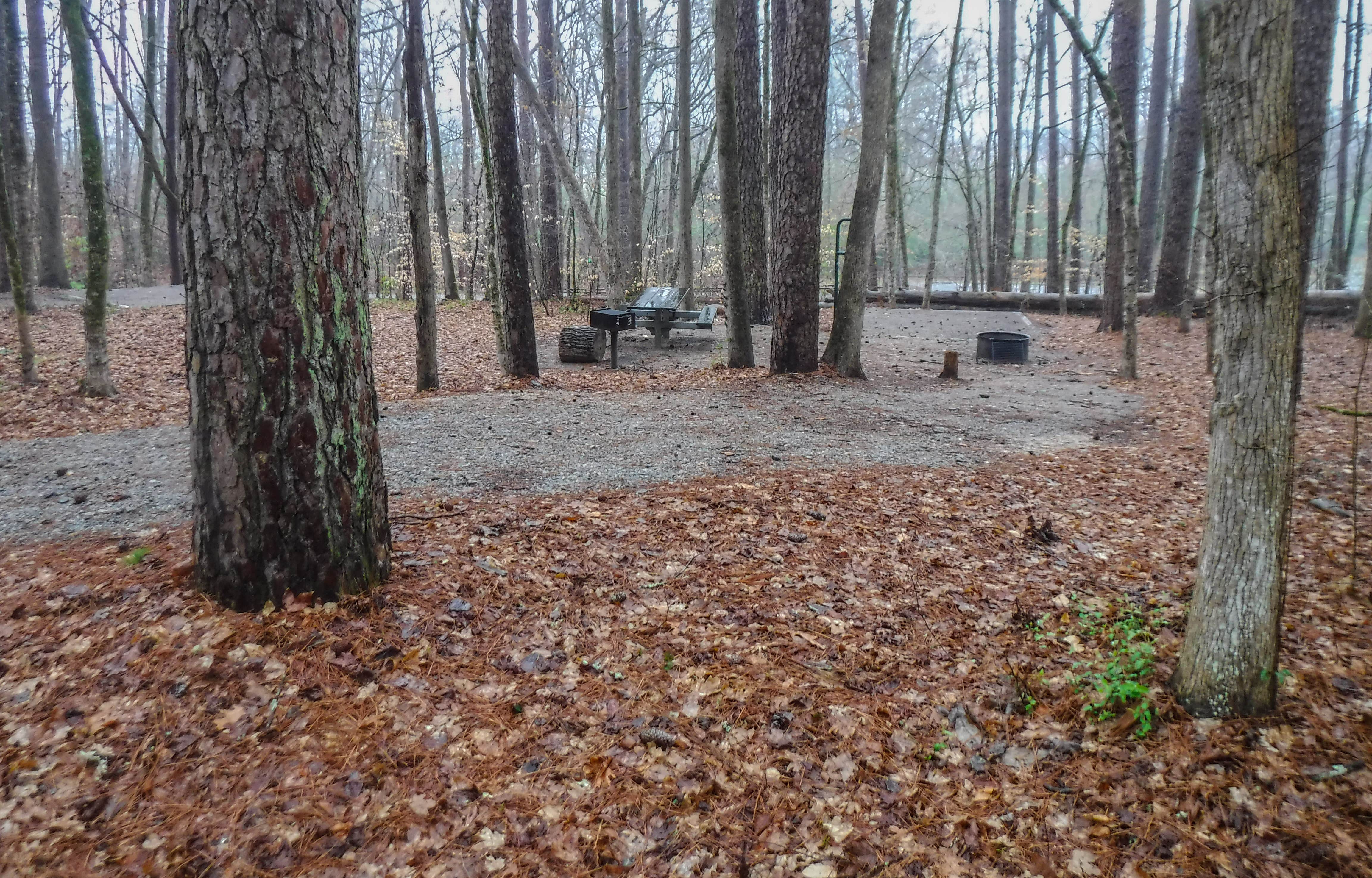 Camper submitted image from Oconee River Campground - 2