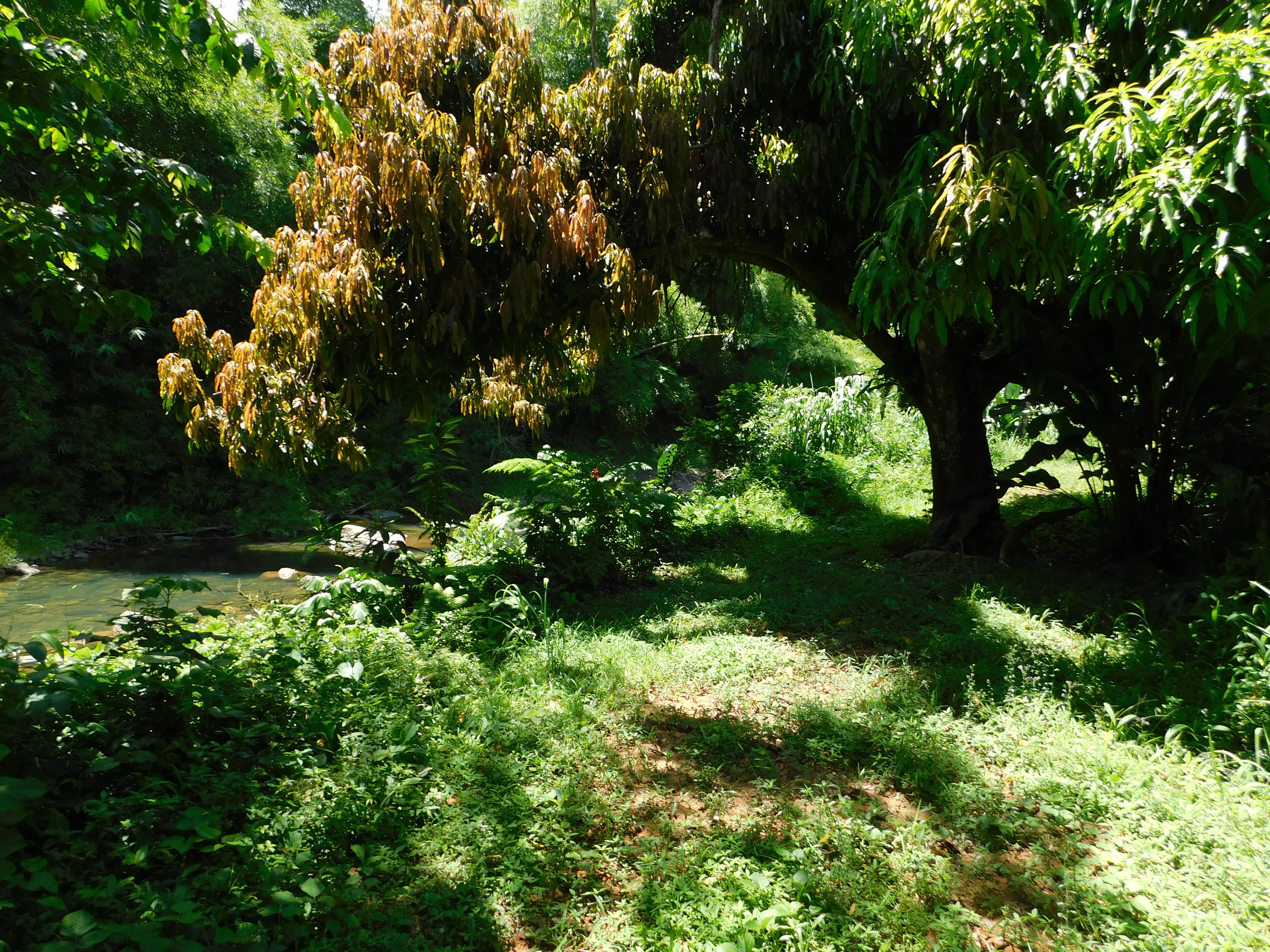 Camper-submitted photo at Hacienda Monte Rey in Puerto Rico