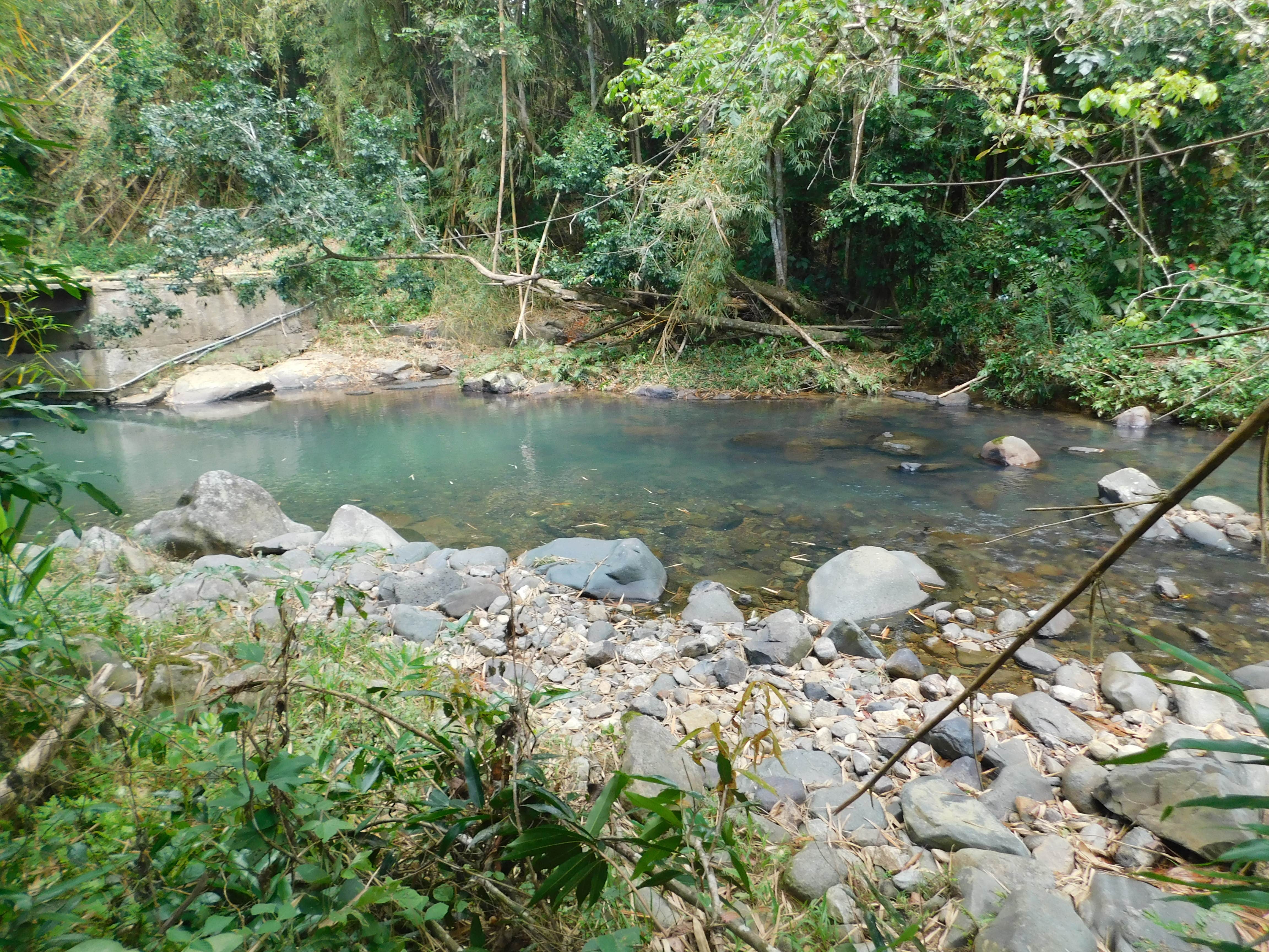 Camper-submitted photo at Hacienda Monte Rey in Puerto Rico