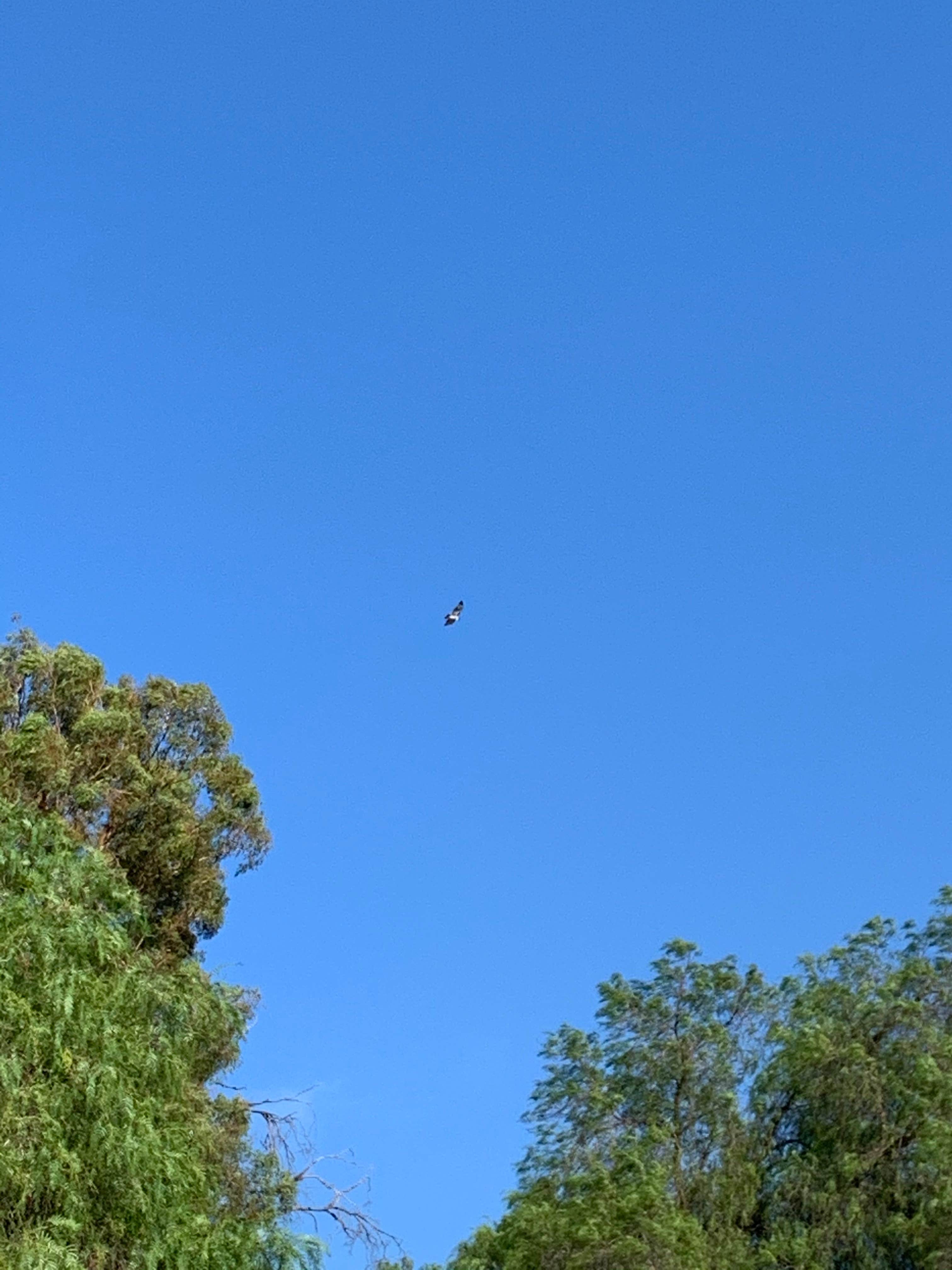 Camper-submitted photo at Rolling M. Ranch Campground — Chino Hills State Park near Whittier, CA