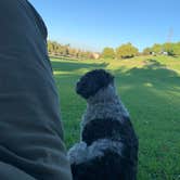 Review photo of Rolling M. Ranch Campground — Chino Hills State Park by Salem L., July 26, 2020