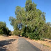 Review photo of Rolling M. Ranch Campground — Chino Hills State Park by Salem L., July 26, 2020