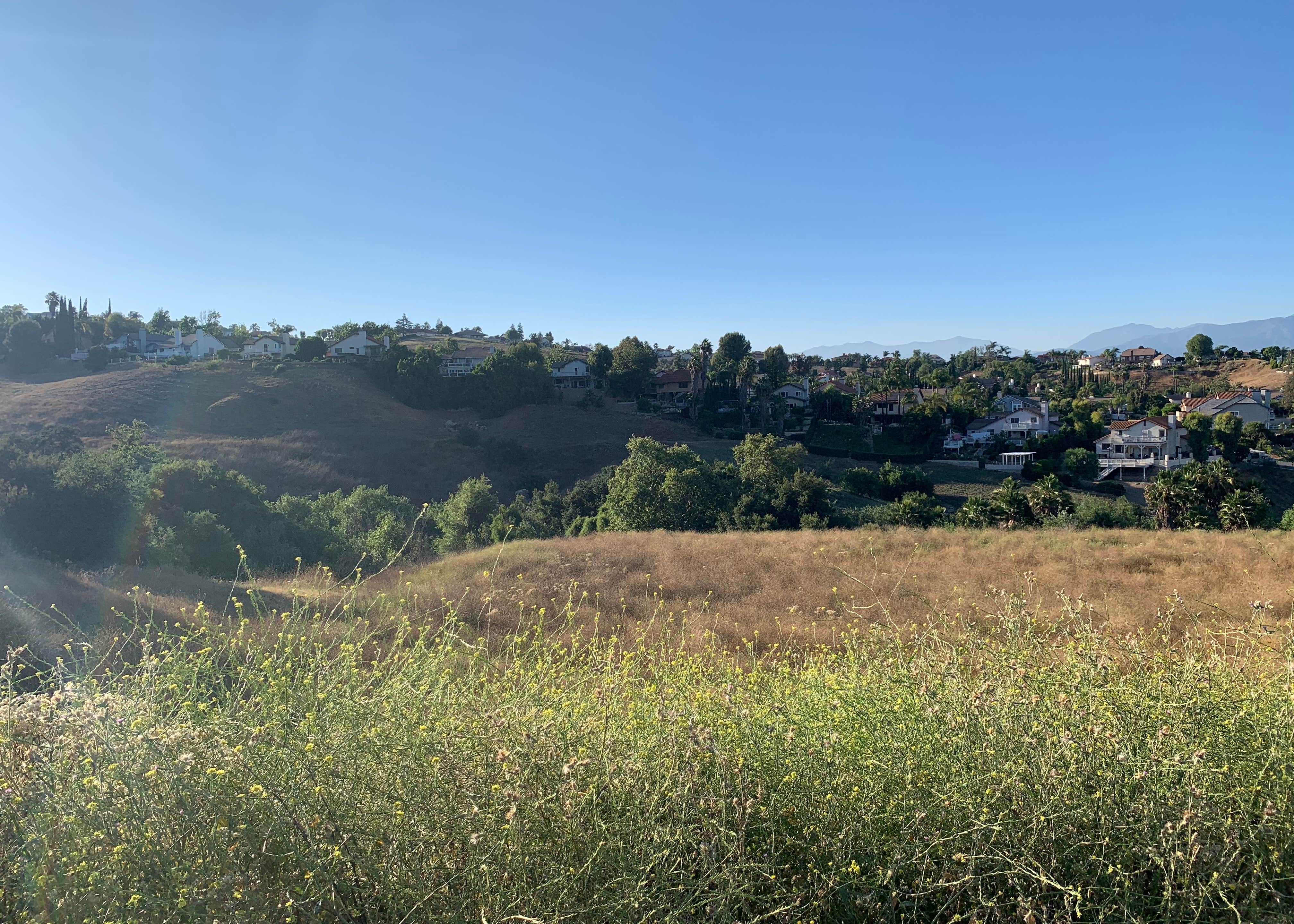 are dogs allowed at chino hills state park