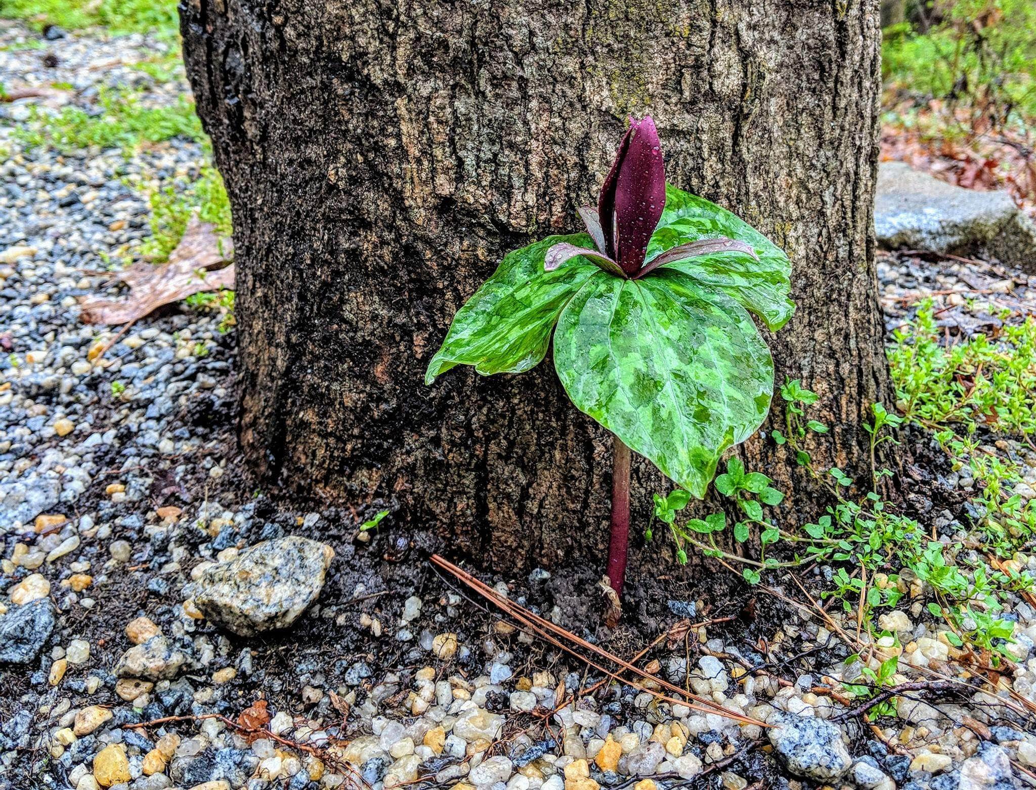 Camper-submitted photo at Oconee River Campground near Greensboro, GA