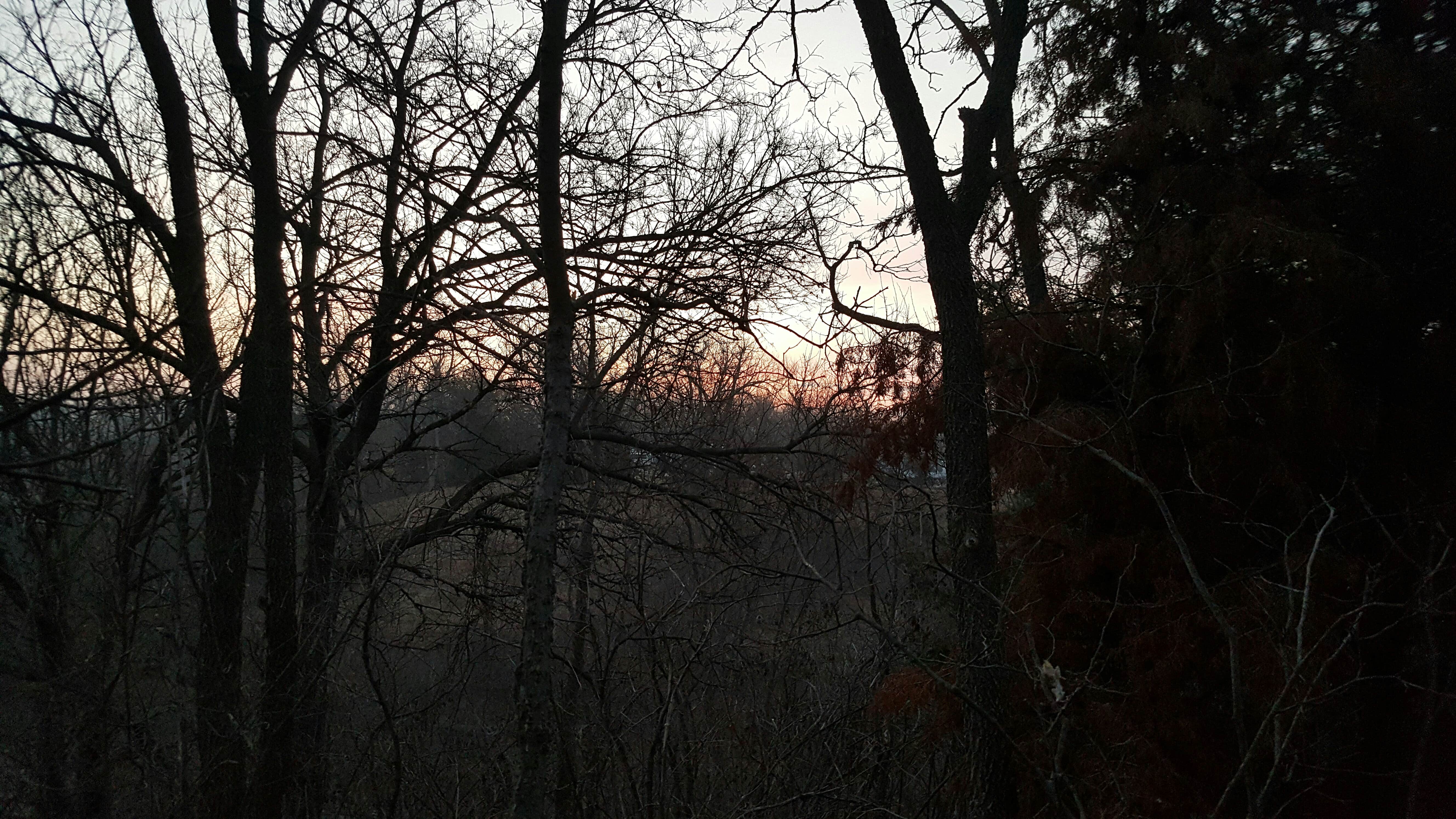 Camping near Sandyshore Campground — Kanopolis State Park: Cottonwood Campground — Kanopolis State Park, Marquette, Kansas