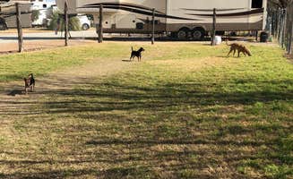 Brian A.'s photo of rv camping at Miller Creek RV Park near Johnson City, TX