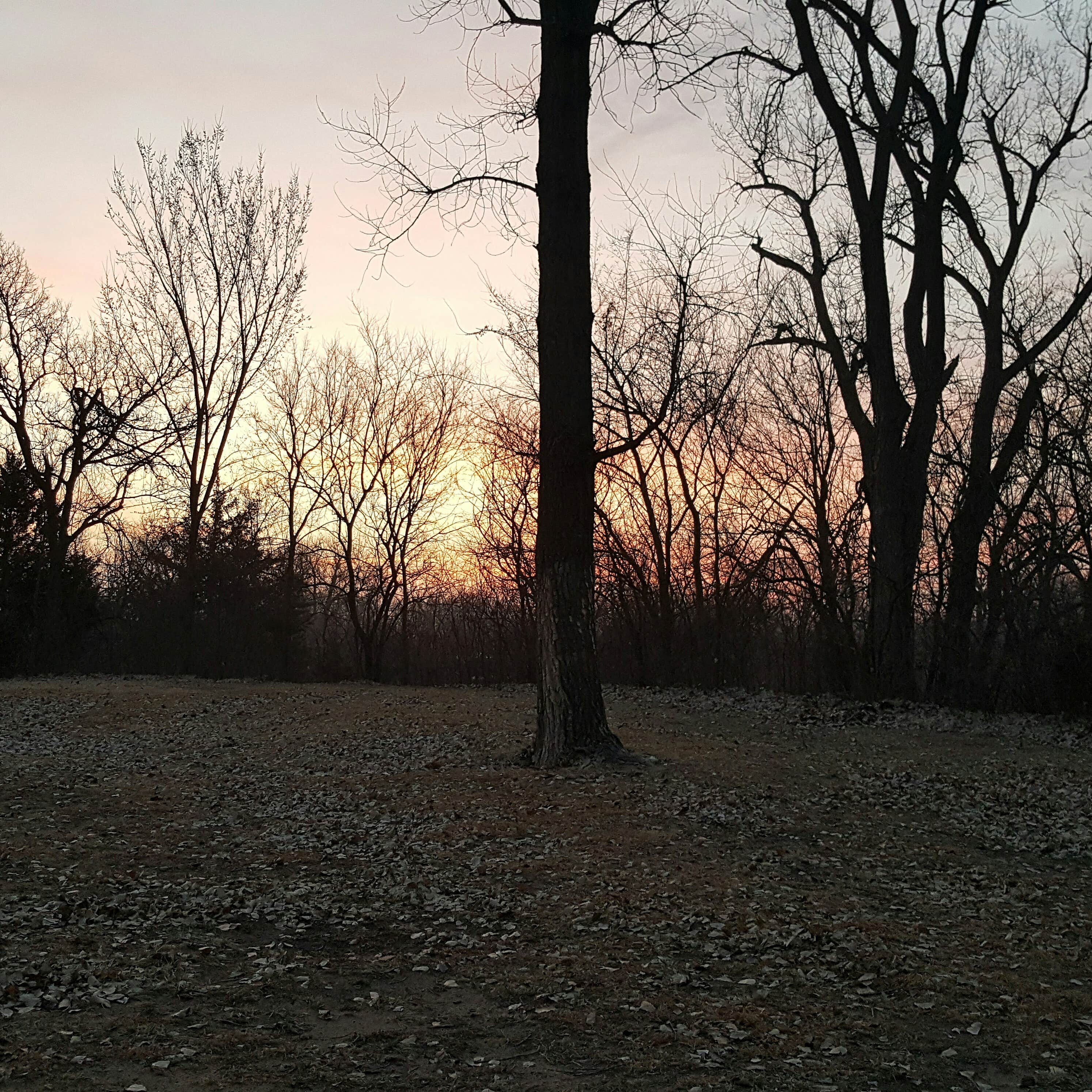 Camper-submitted photo at Cottonwood Campground — Kanopolis State Park near Marquette, KS